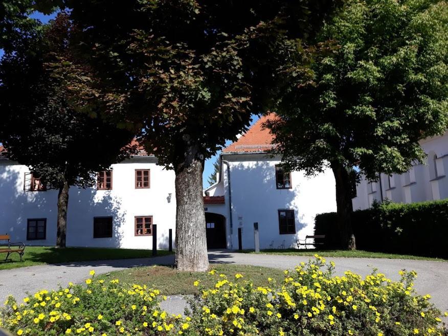 Lounge-Style-Hostel Sankt Veit an der Glan Exterior photo